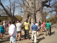 Reserve Bandia - Nianing-excursion.com