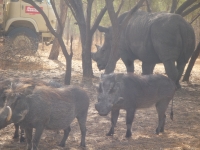 Reserve Bandia - Nianing-excursion.com