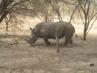 Reserve Bandia - Nianing-excursion.com