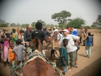 balade en calèche