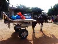 Nianing3-Nianing-Excursion