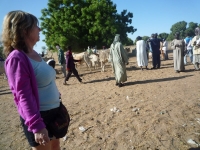 Marché de brousse de Sandaria