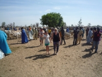 Marché de brousse de Sandaria