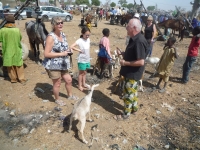 Marché de brousse de Sandaria