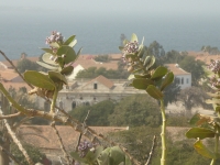 p1070797