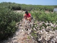 La Somone - Nianing-excursion.com