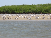 La Somone - Nianing-excursion.com