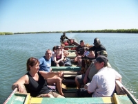 Navigation_mangrove
