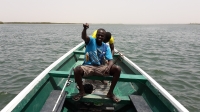 Peche Sine Saloum - Nianing-excursion.com