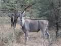 Reserve Bandia - Nianing-excursion.com