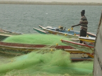 Sine Saloum - Nianing-excursion.com
