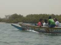 Sine Saloum - Nianing-excursion.com