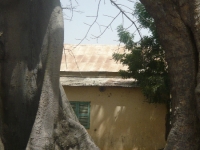 p1070682