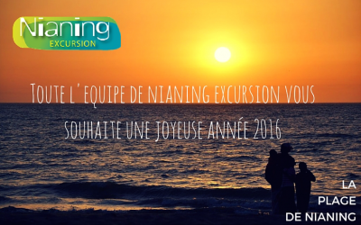 Bonne Année 2016