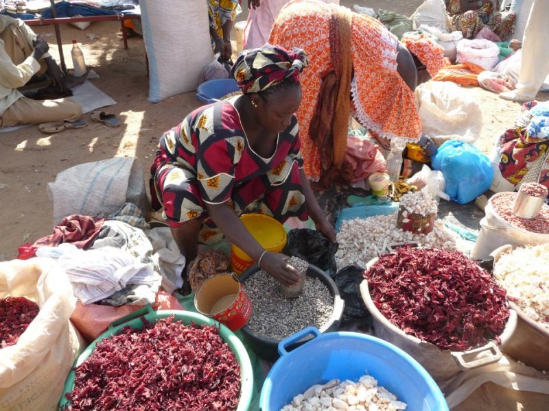 Grands Marchés de brousse