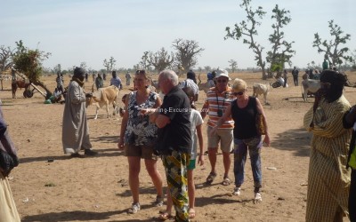 Combiné Saloum Joal et marché de brousse 2