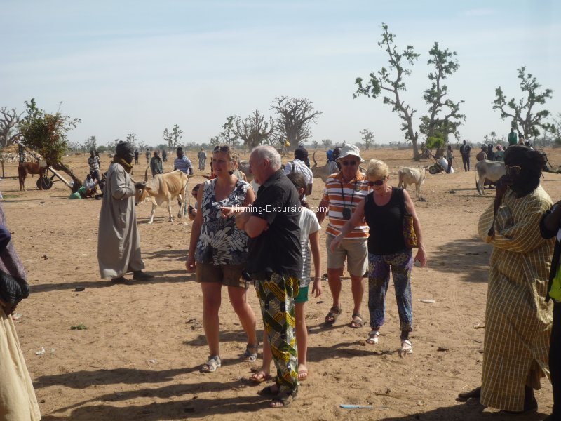 Combiné Saloum Joal et marché de brousse 2